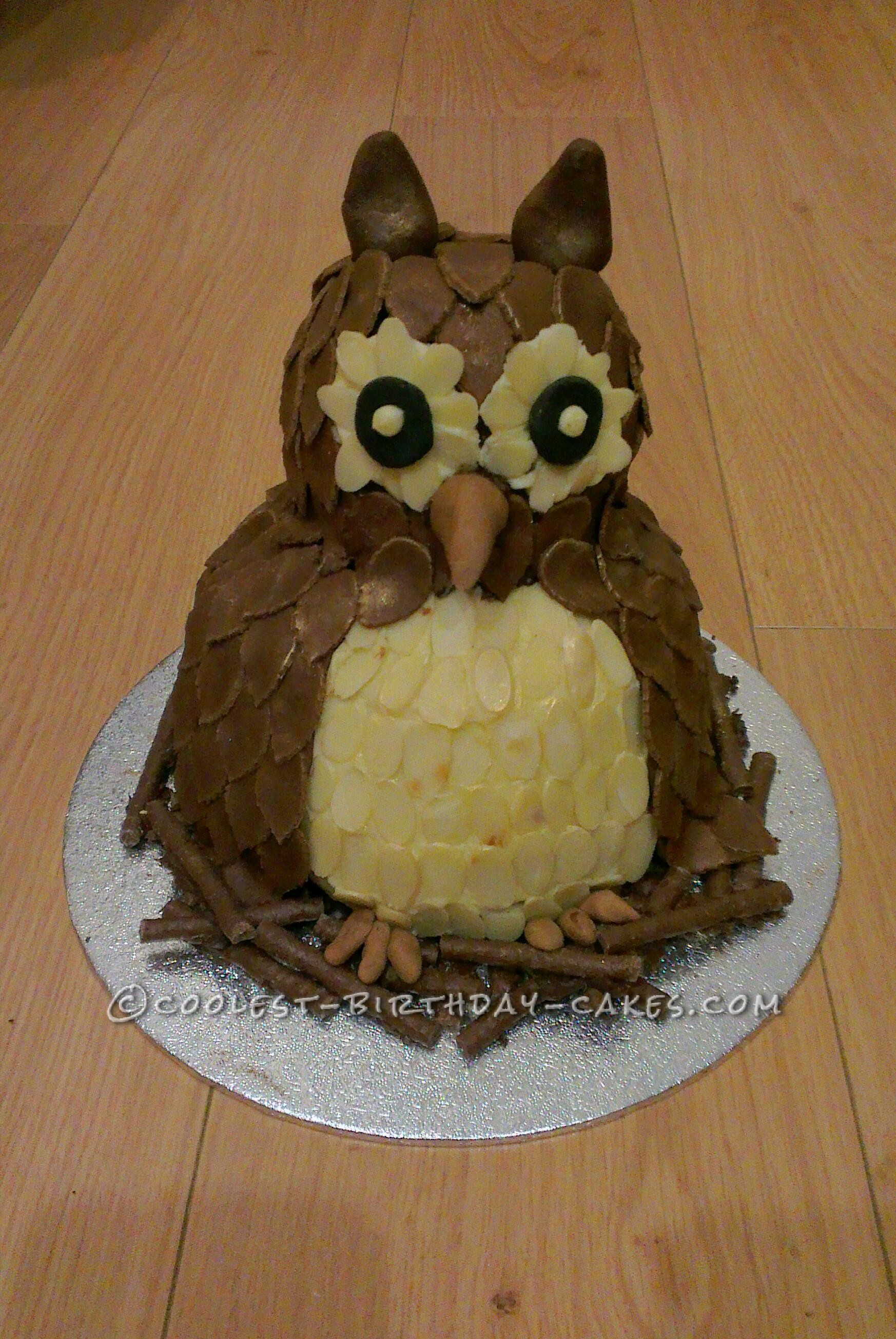 Coolest Chocolate Fudge Owl Cake