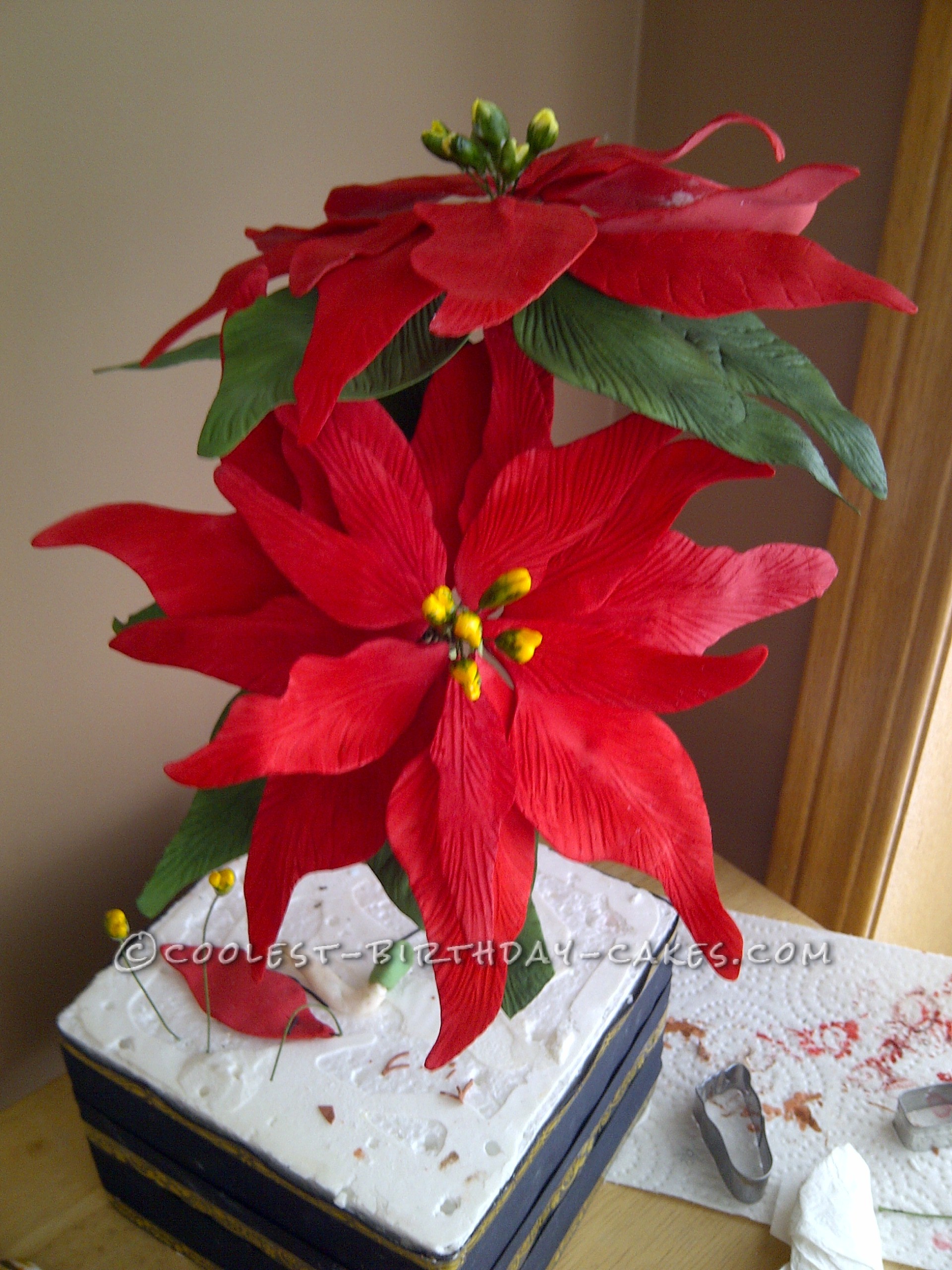 Awesome Poinsettia Flowers Christmas Cake