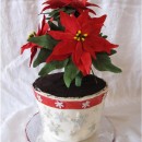 Awesome Poinsettia Flowers Christmas Cake