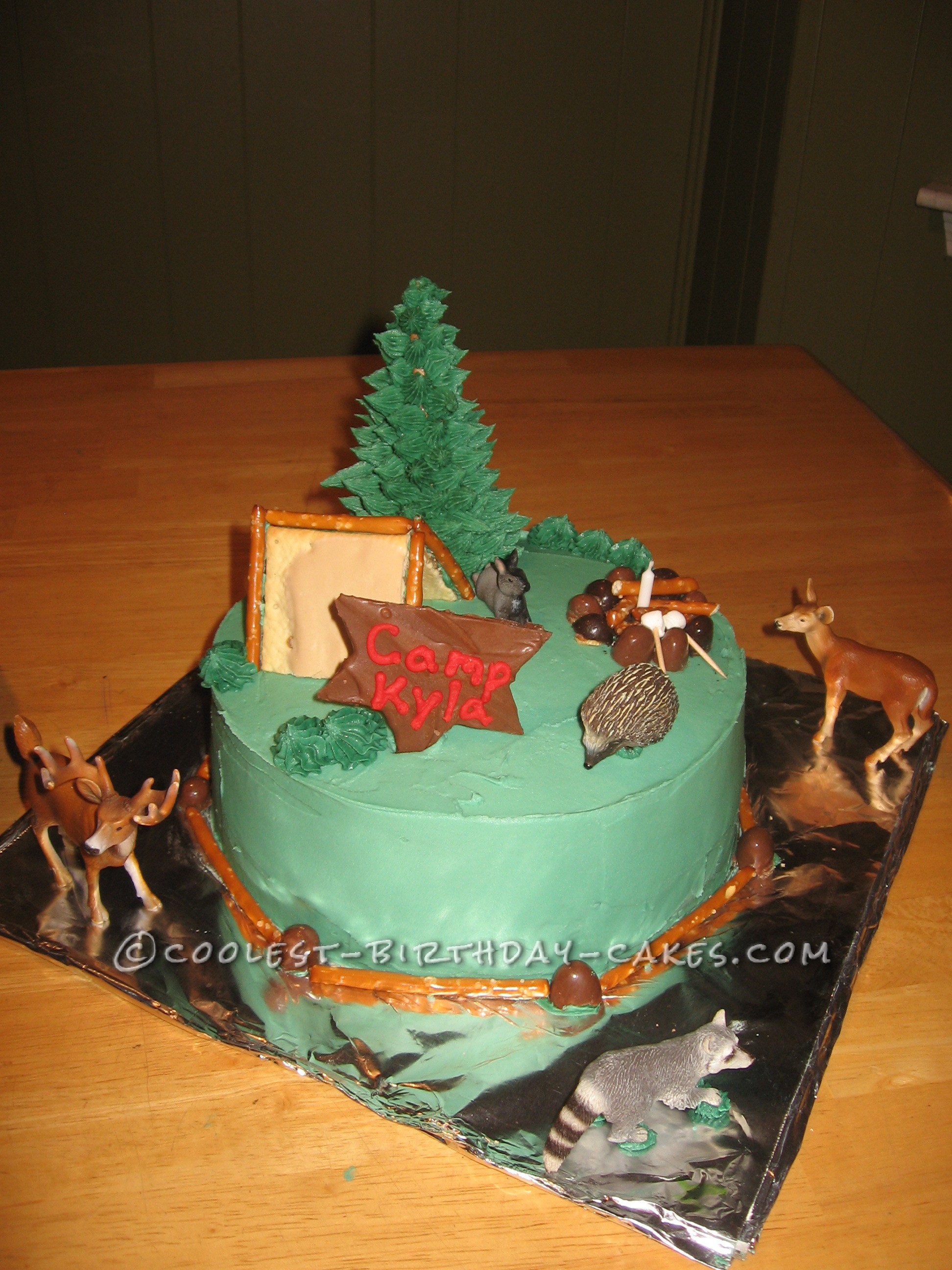 You-Can-Do-It Camping Cake