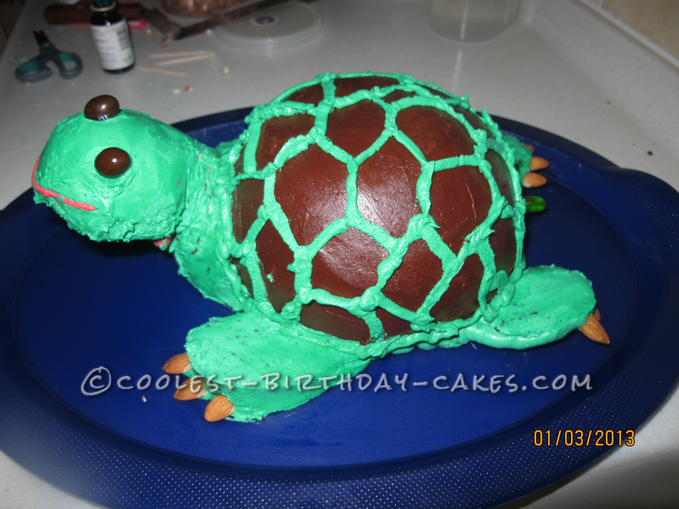 3D Turtle Cake that Looked Almost Real to my 3yr Old