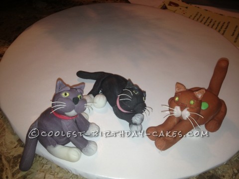 Coolest Cat Cake