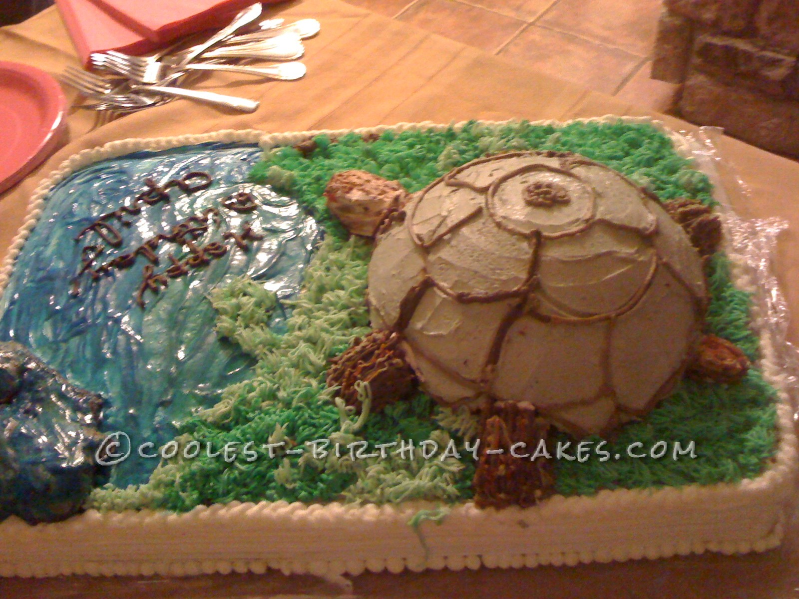 Big Turtle Birthday Cake