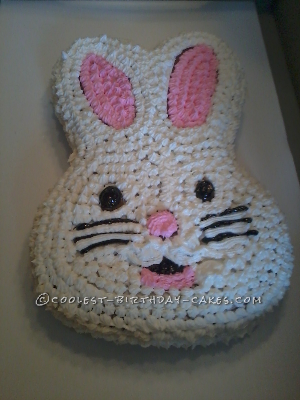 Easter Bunny Cake