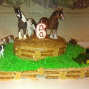 Gitty-Up Cowboy Cake