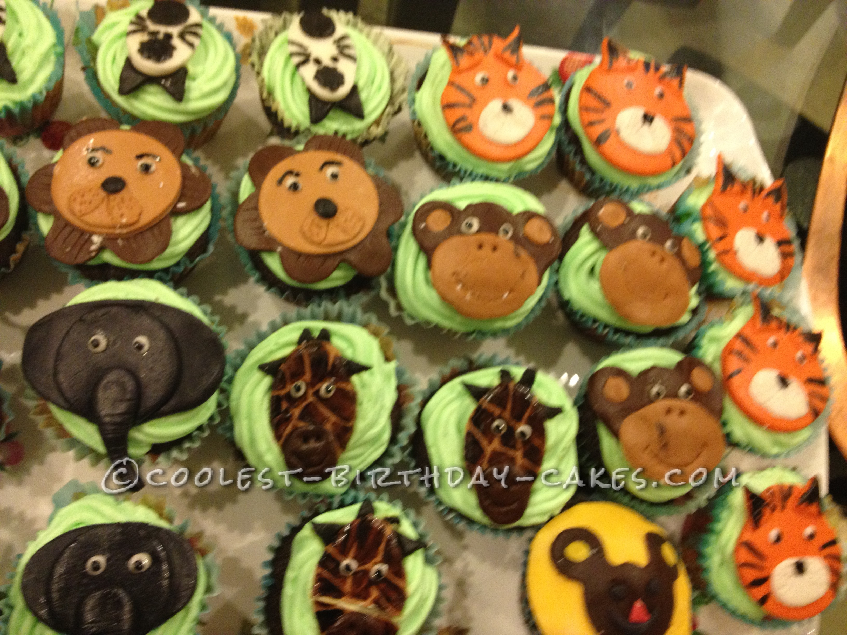 Coolest Jungle Day Birthday Cake and Cupcakes