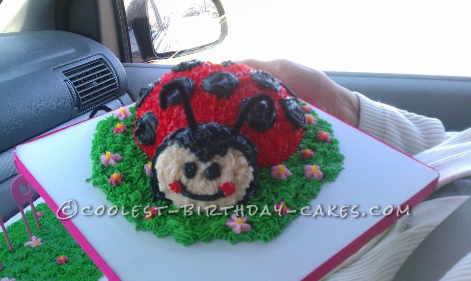 Little Lady Bug Birthday Cake