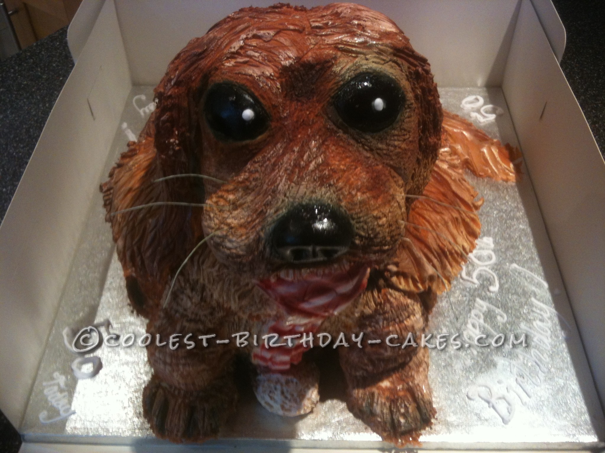Cool Dog Cake