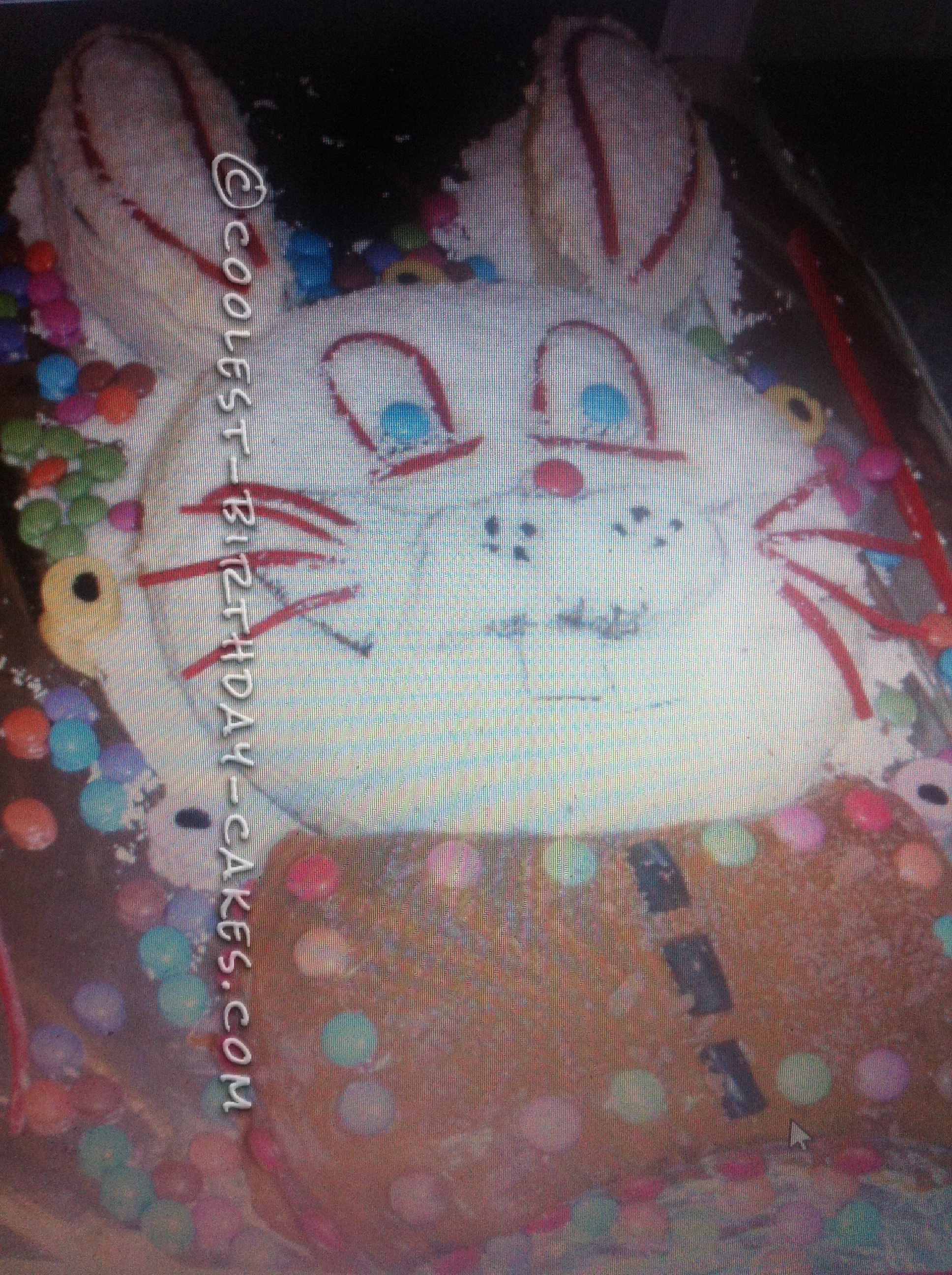 Homemade Rabbit Cake