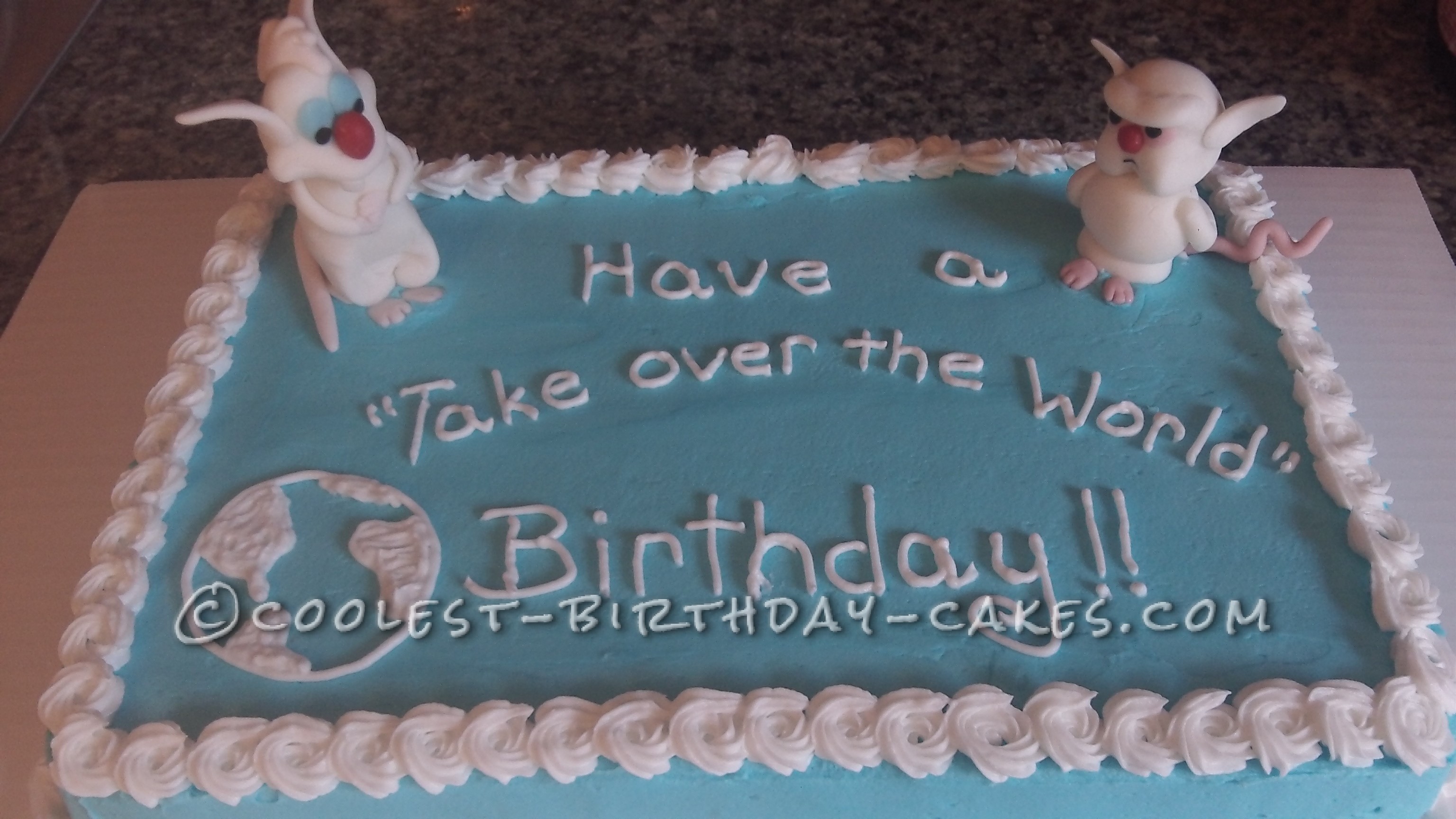 Coolest Pinky and the Brain Cake
