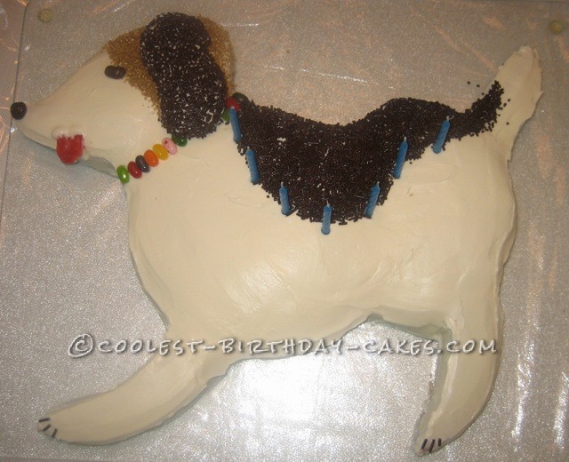Coolest Dog Cake