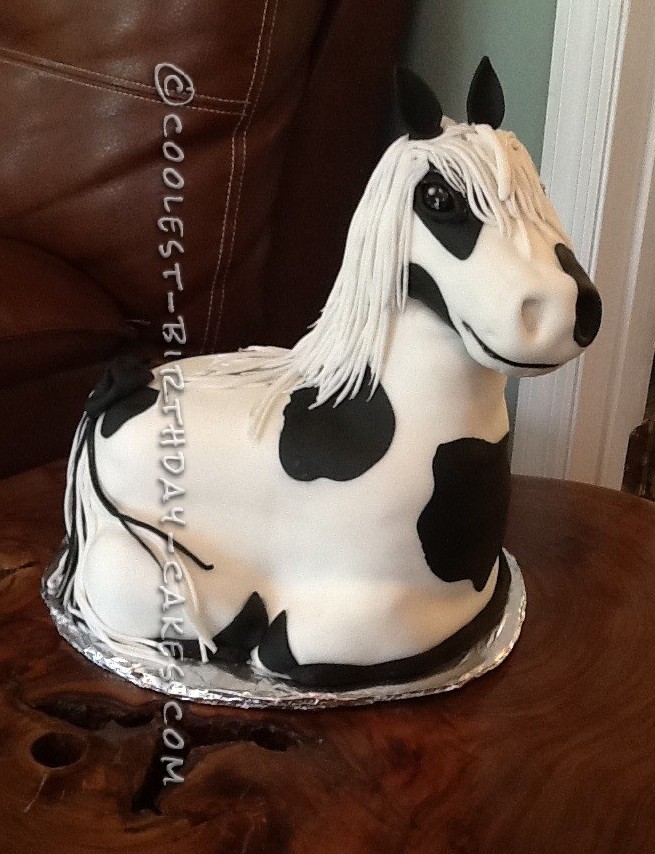 Horse cake and desserts | Nat Cake Artist