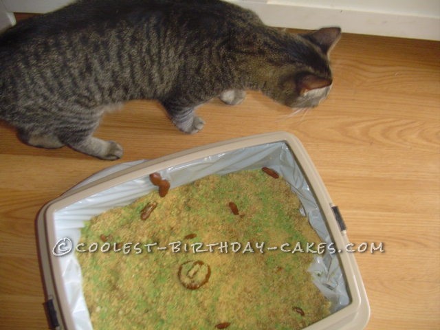 Coolest Kitty Litter Cake