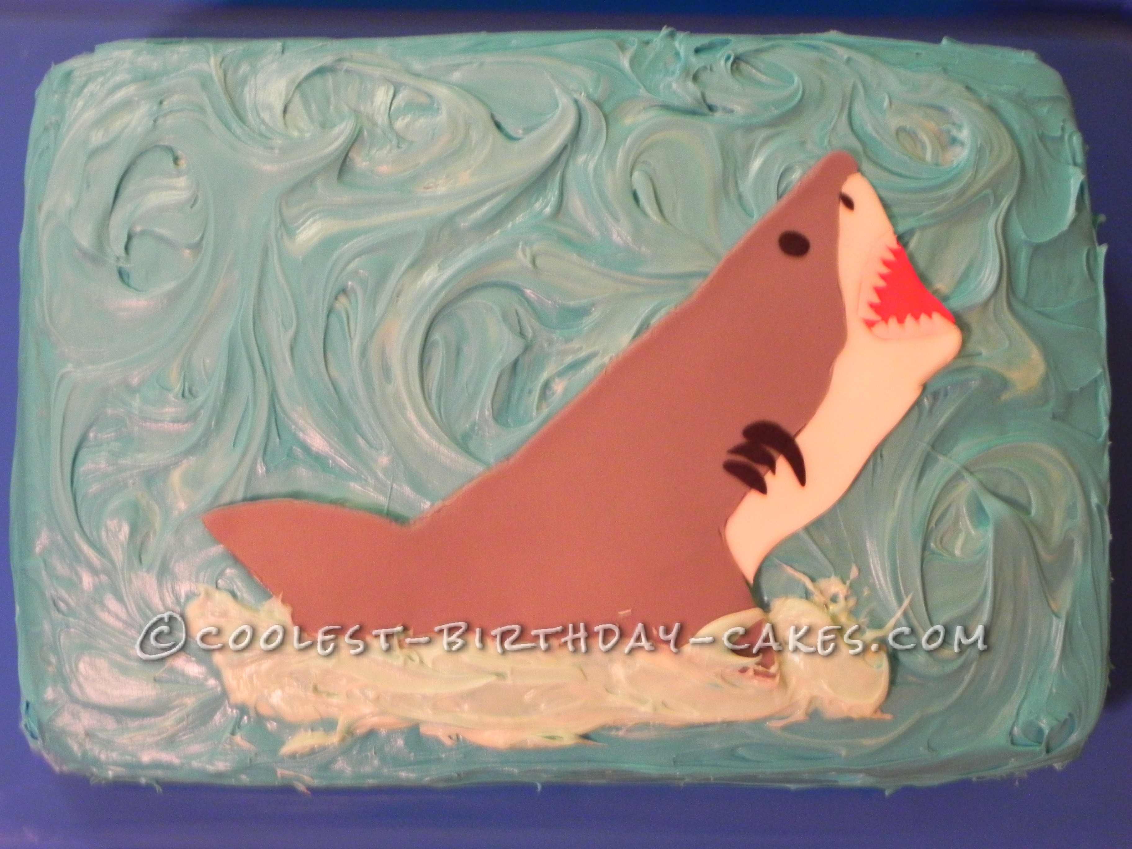 Realistic Shark Cake