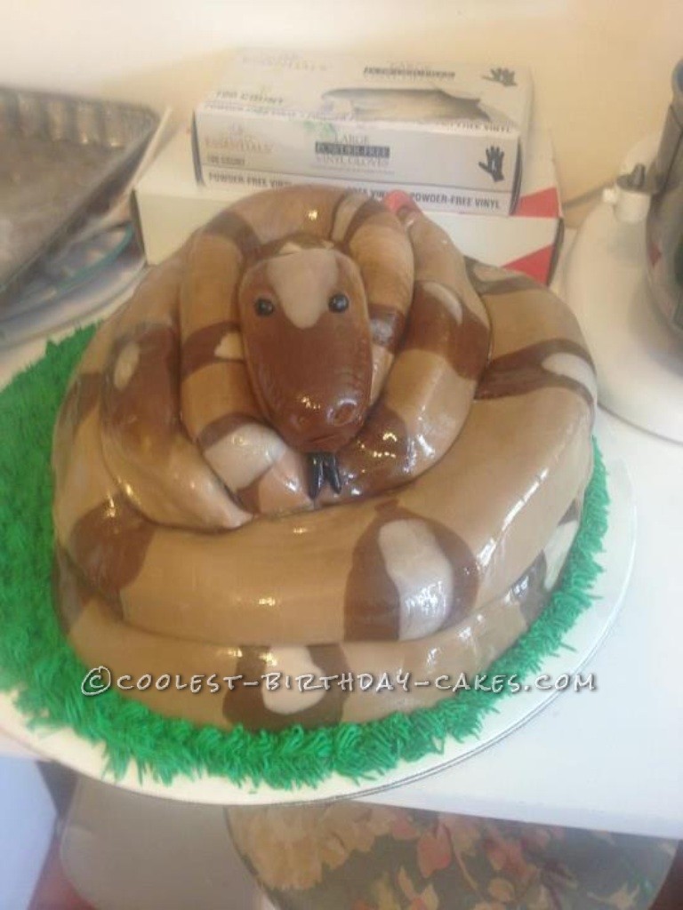 Coolest Snake Cake