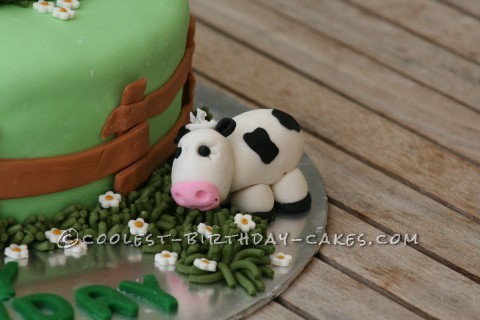 Cool Farming Cake