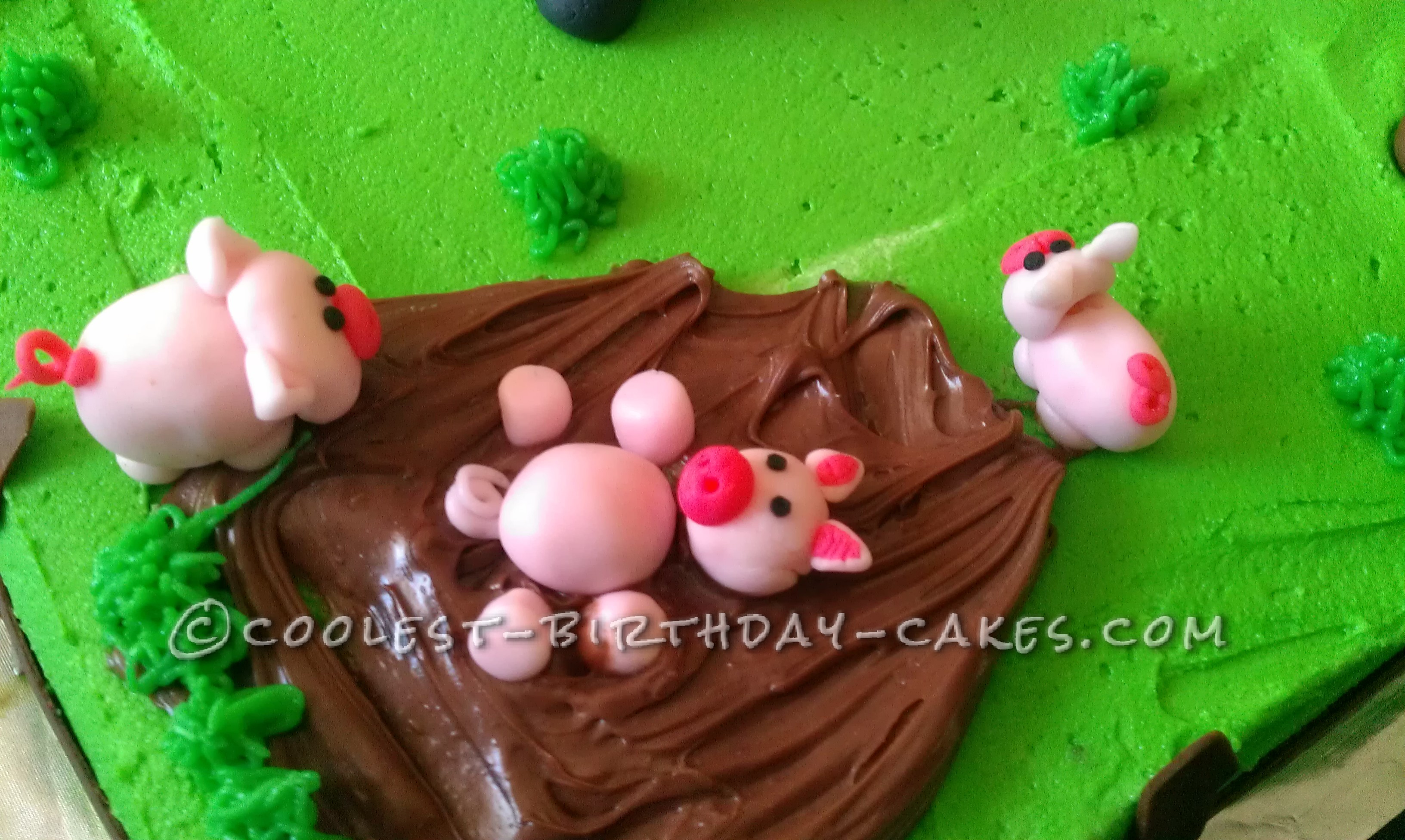 Coolest Farm Scene Birthday Cake
