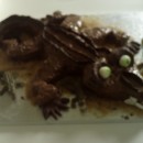 Coolest Crocodile Birthday Cake