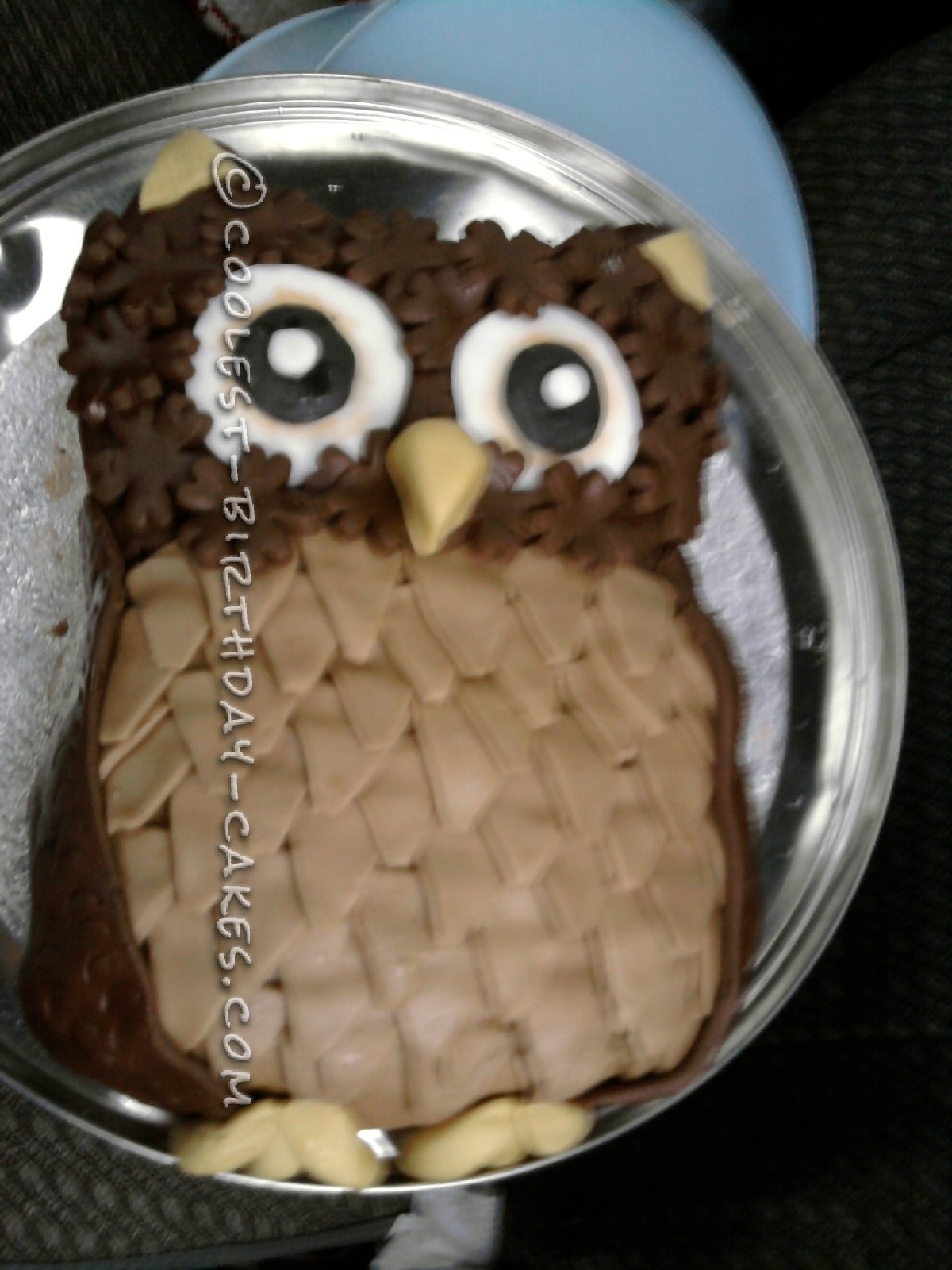 Coolest Owl Birthday Cake