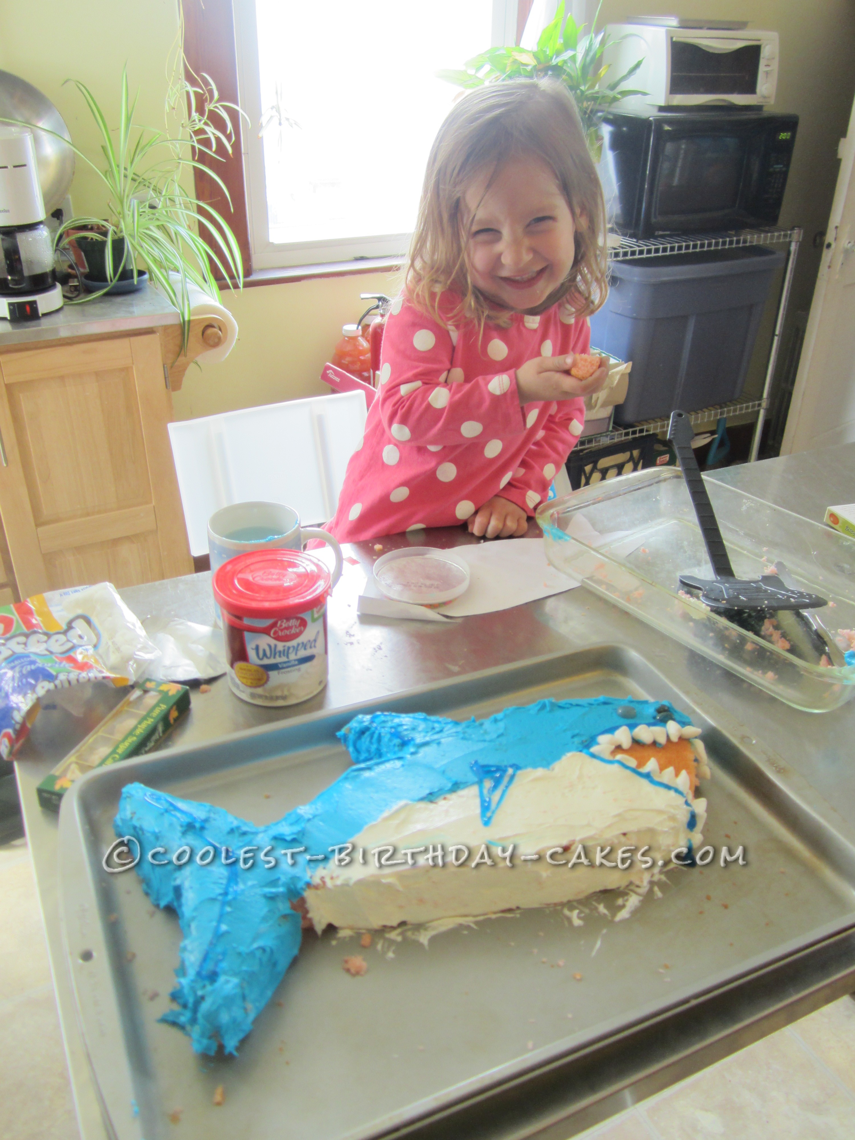 Coolest Shark Birthday Cake