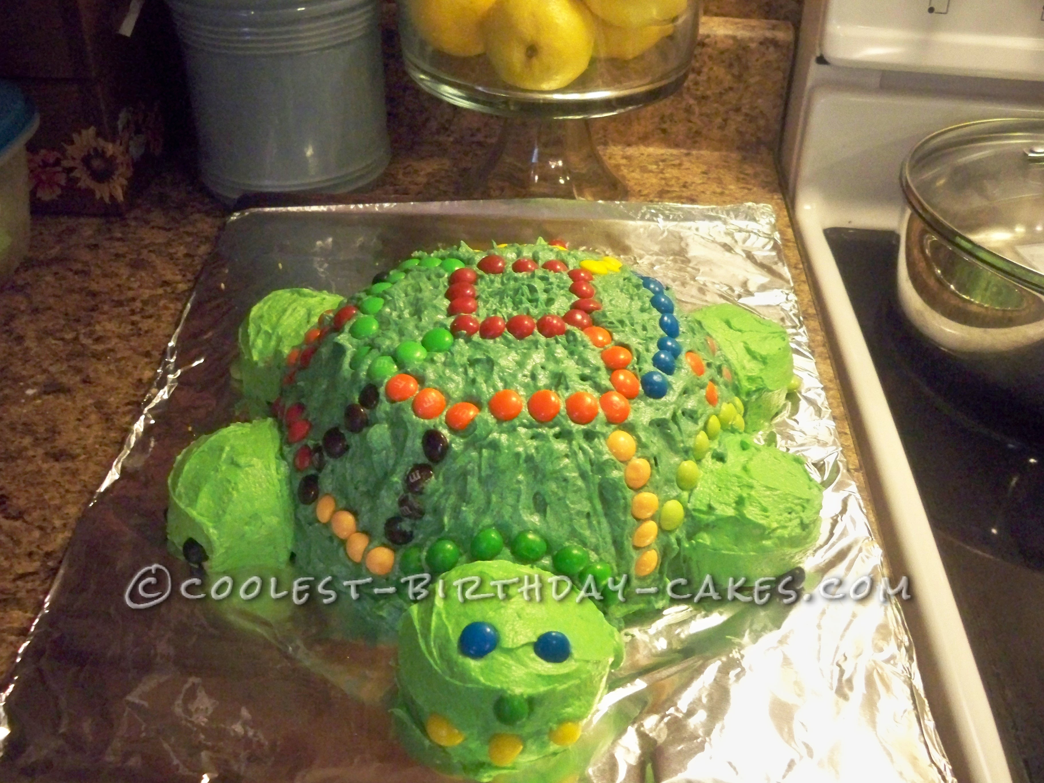 Coolest Turtle Birthday Cake