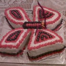 Coolest Butterfly Birthday Cake
