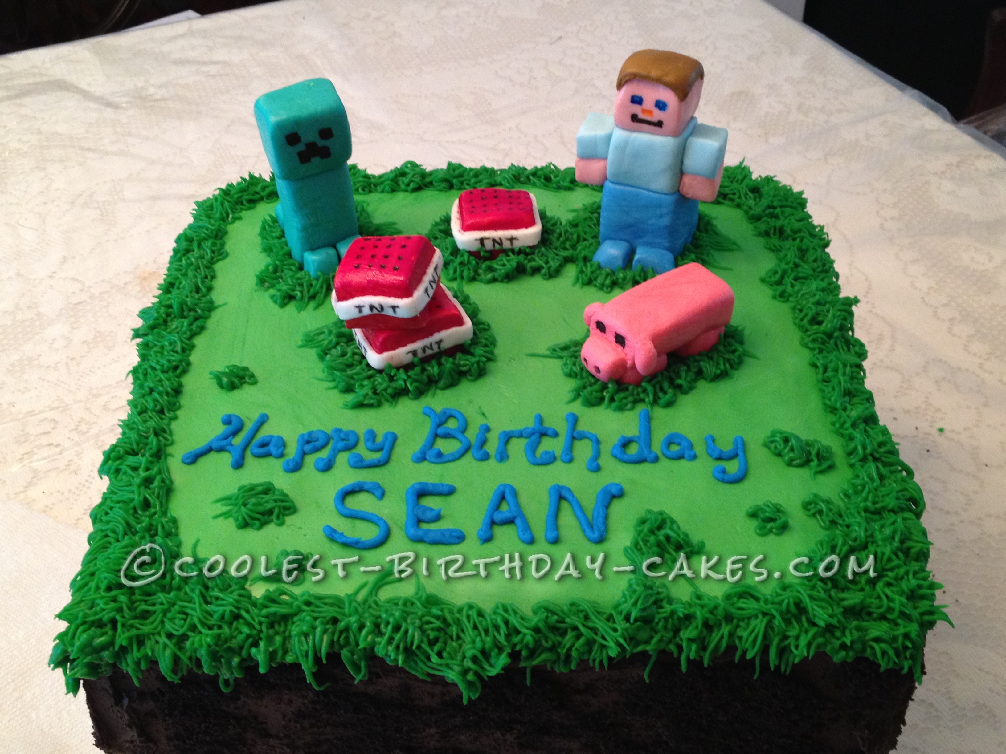 Coolest Minecraft Birthday Cake