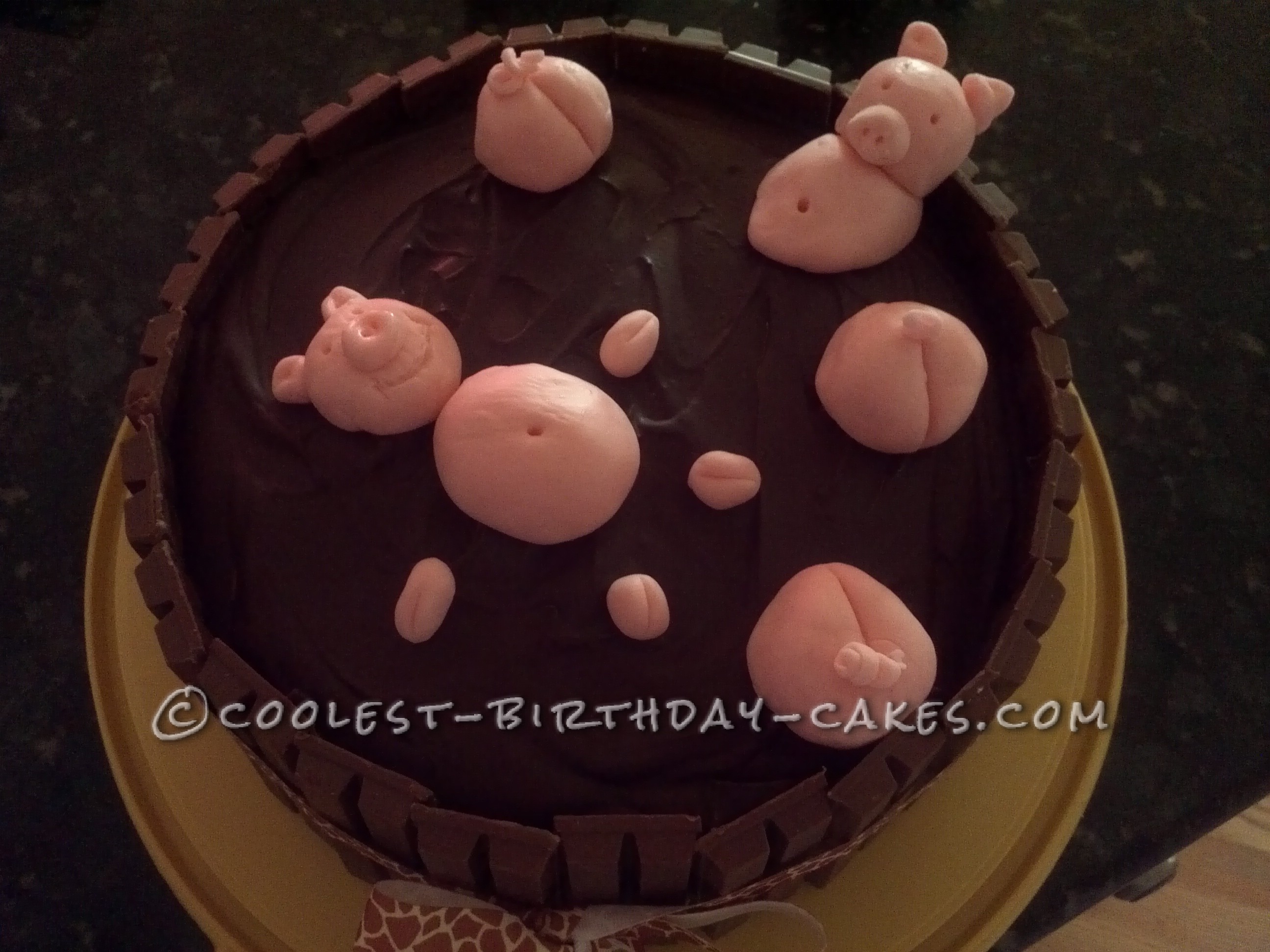 Pigs in the Hot Tub Cake