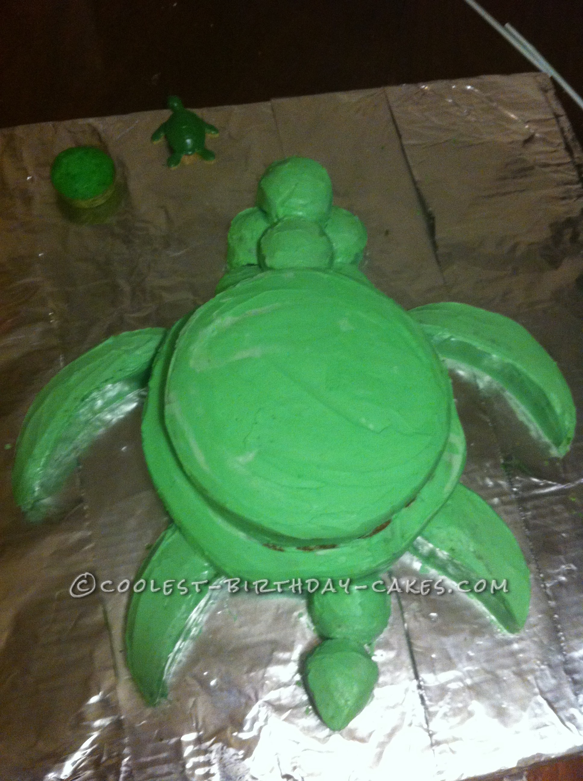 Coolest Under The Sea Turtle Birthday Cake