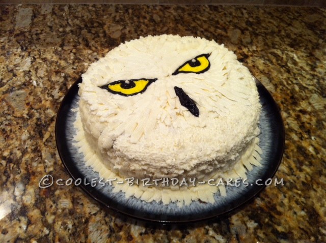 Coolest Hedwig Cake for a 9-year-old Harry Potter Fan