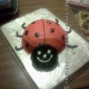 Coolest Lady Bug Cake