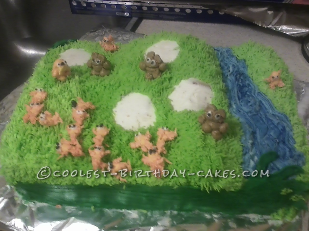 Awesome Dr. Suess Lorax Birthday Cake