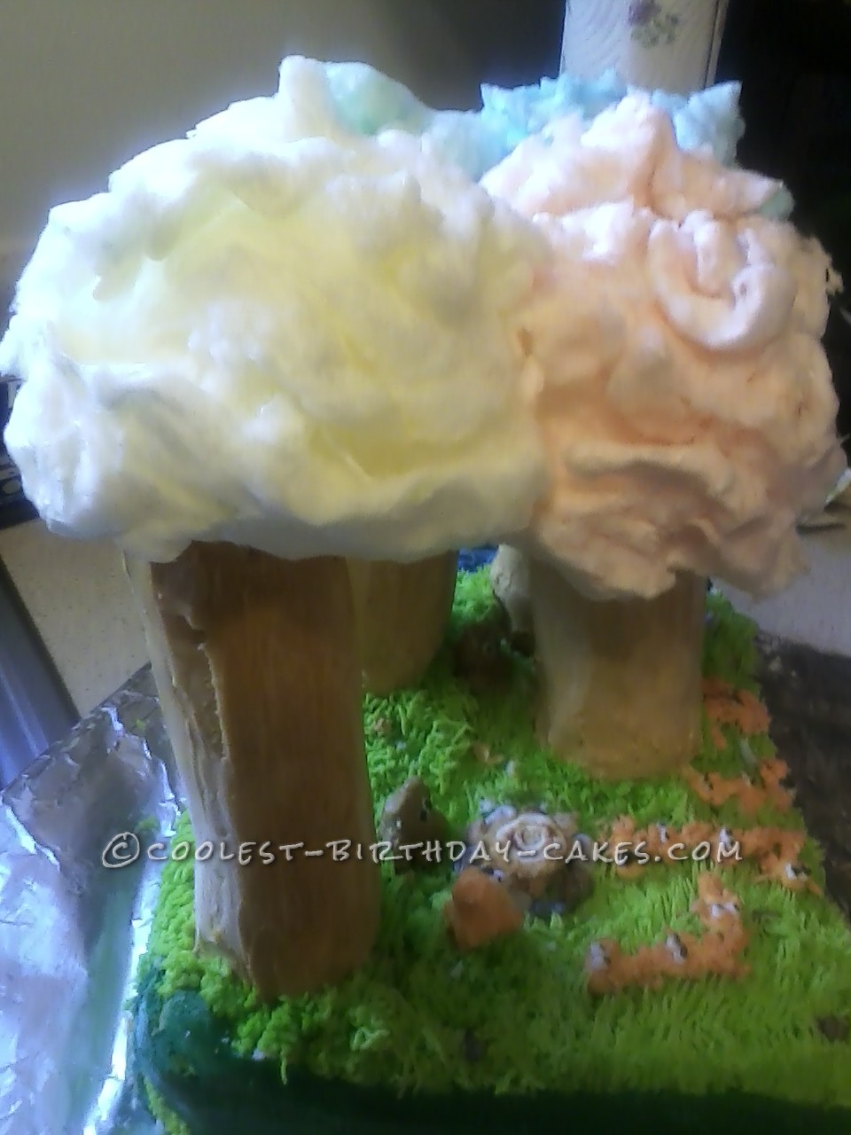 Awesome Dr. Suess Lorax Birthday Cake