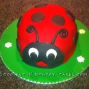 Coolest Ladybird Cake