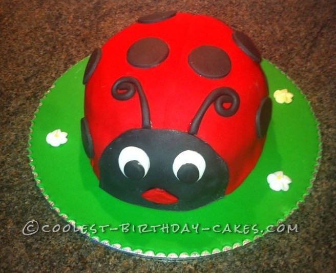 Coolest Ladybird Cake