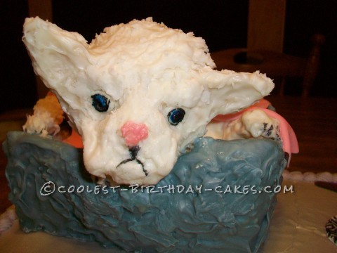Coolest Persian Kitty Cake