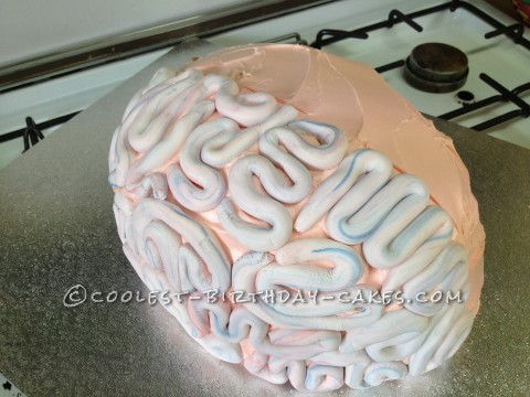 Gruesome Brain Cake for a Science Party