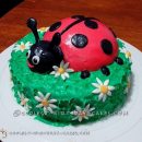 Coolest Ladybug Cake for Daughter's 1st Birthday