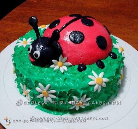 Coolest Ladybug Cake for Daughter's 1st Birthday