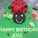 Coolest 1st Birthday Ladybird Cake