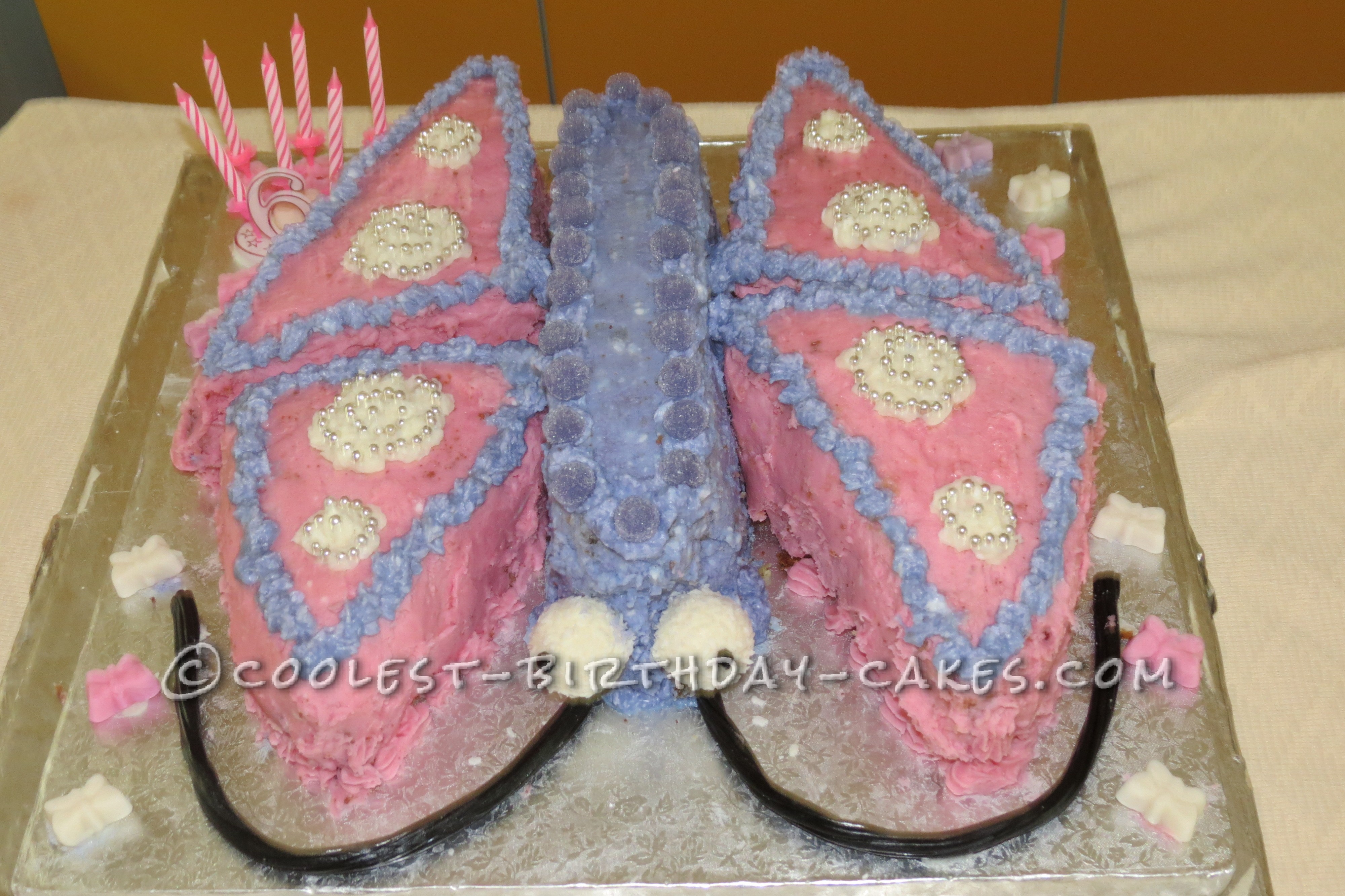 Coolest Butterfly Birthday Cake
