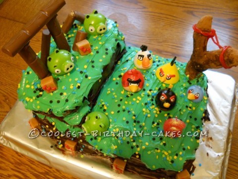 Avery's Cool Angry Birds Birthday Cake