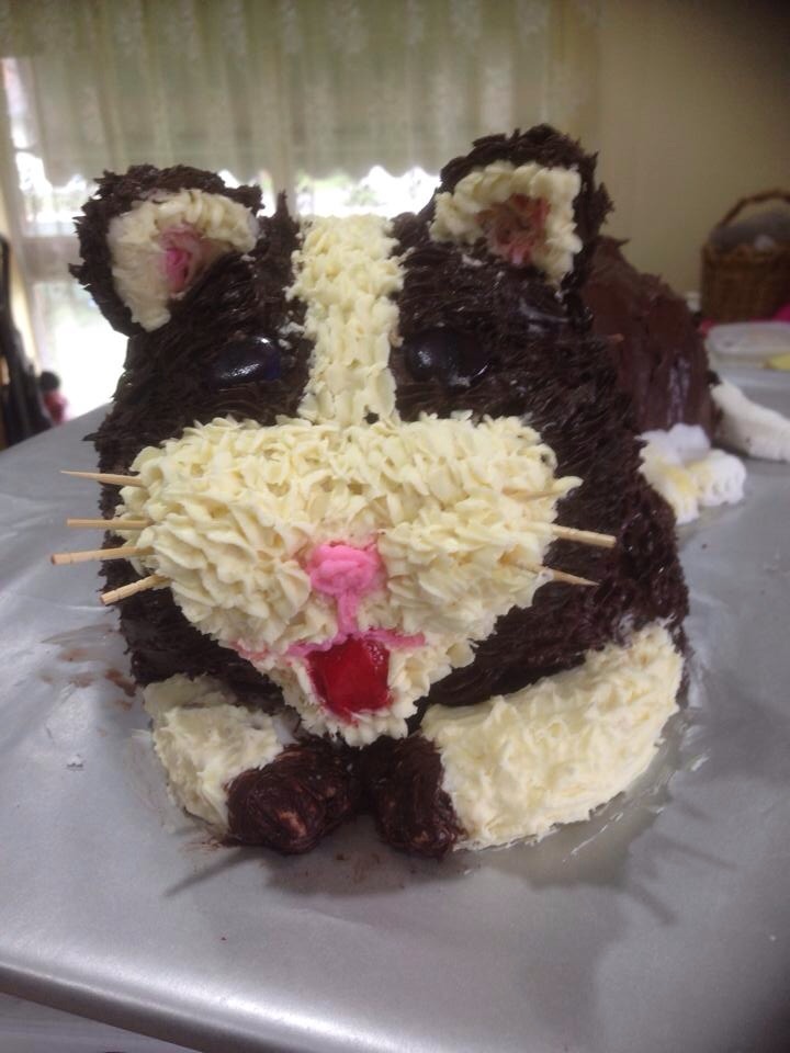 Last Minute Cat Birthday Cake