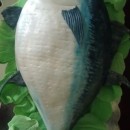 Cool Blue Fin Tuna Birthday Cake