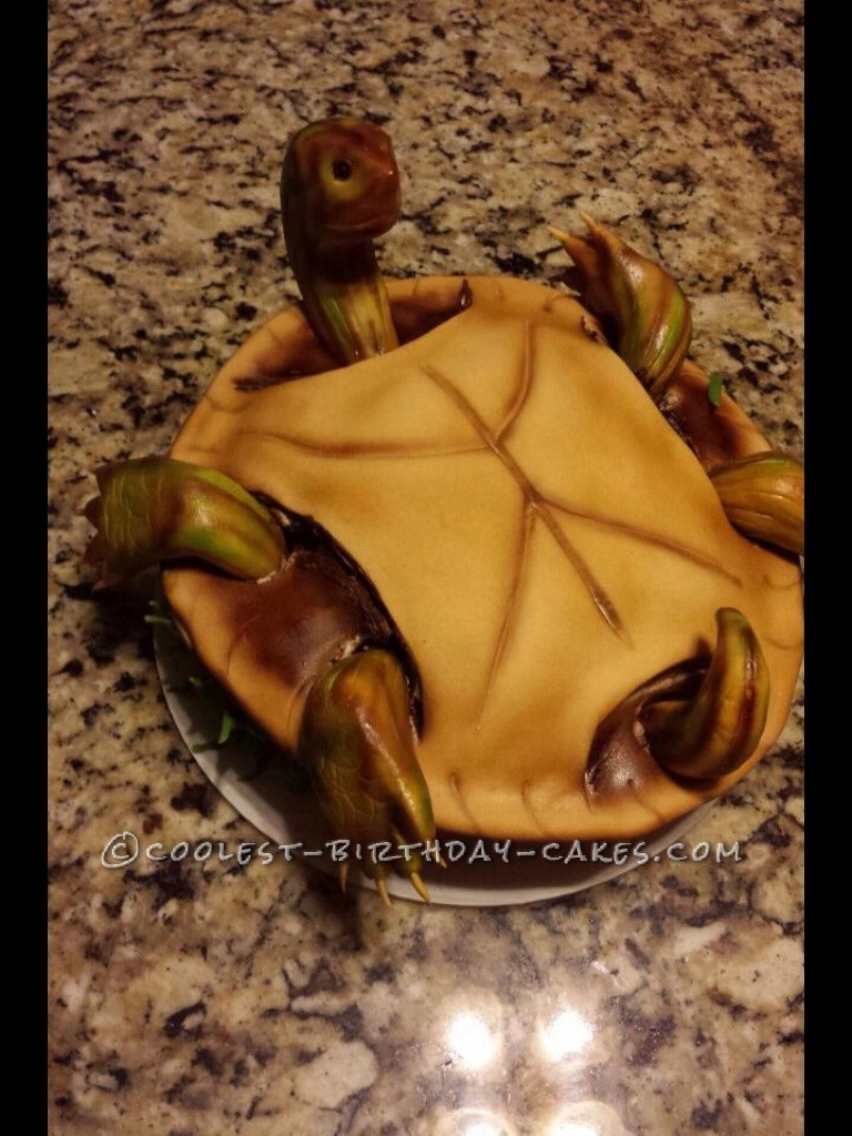 Challenge Upside Down Turtle Cake