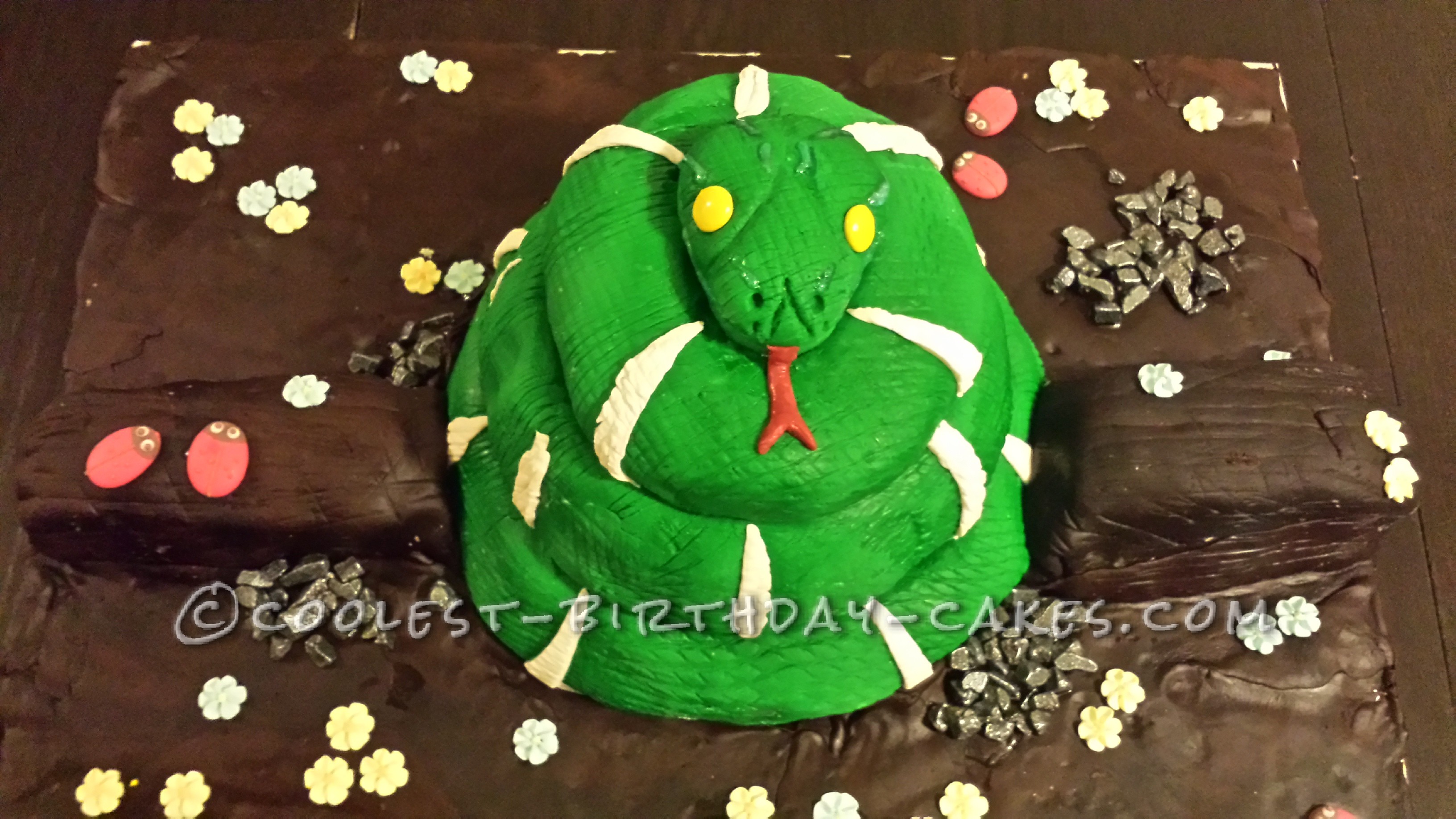 Emerald Tree Boa Cake!