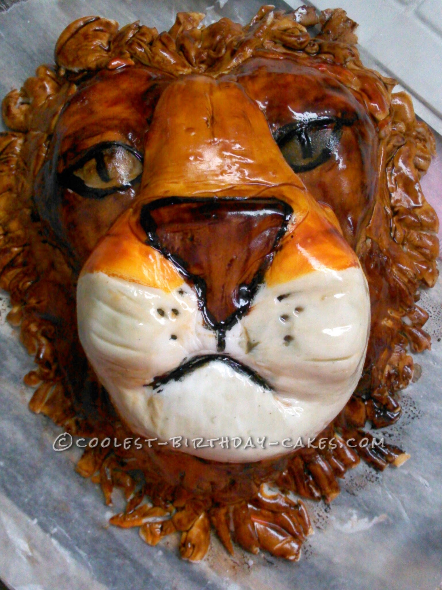 Awesome Lion's Head Birthday Cake