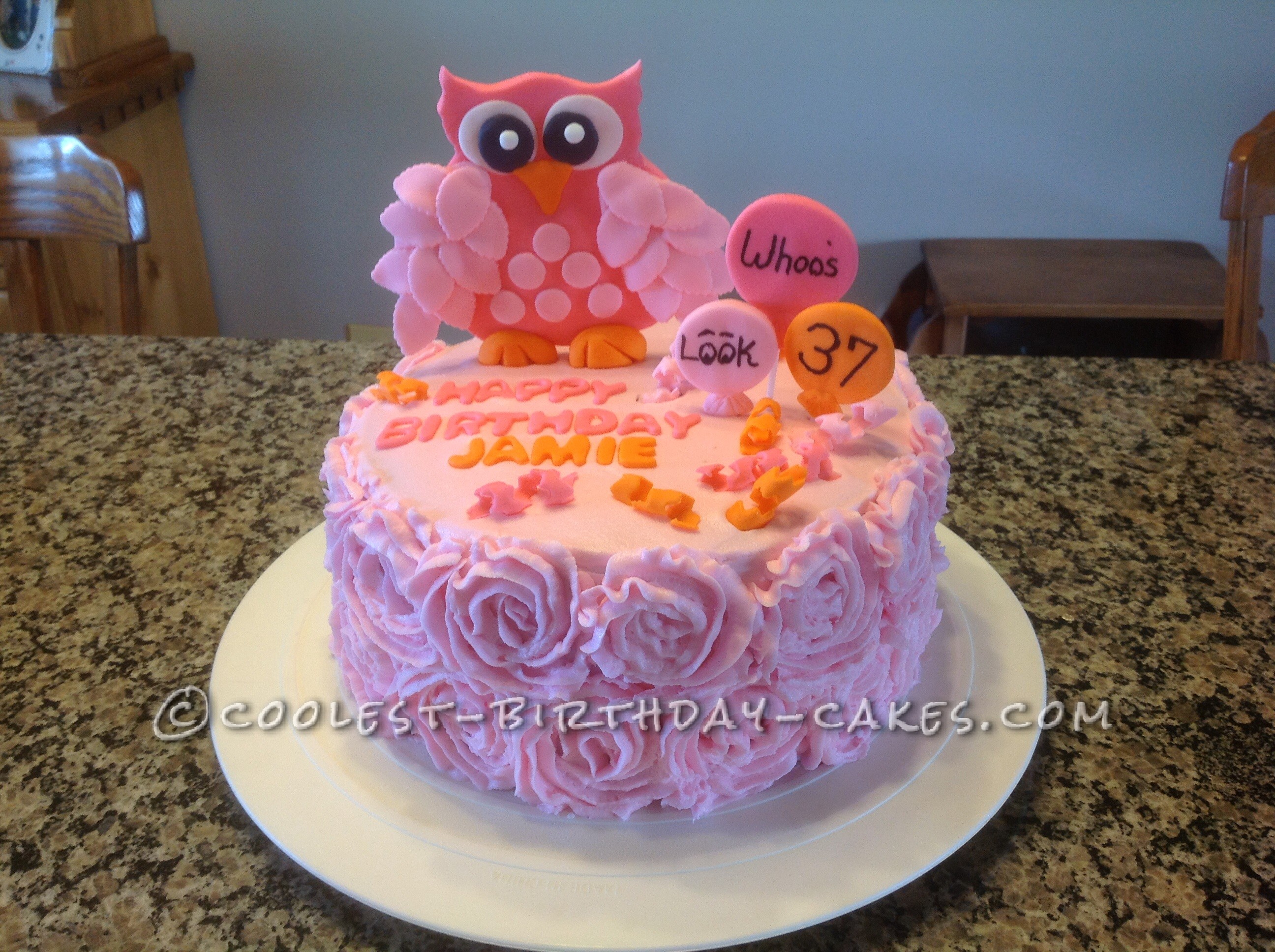 Coolest Owl Birthday Cake