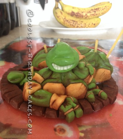 Amazing Teenage Mutant Ninja Turtles Birthday Cake