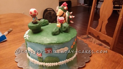 Cool Homemade Bowser and Toad Cake